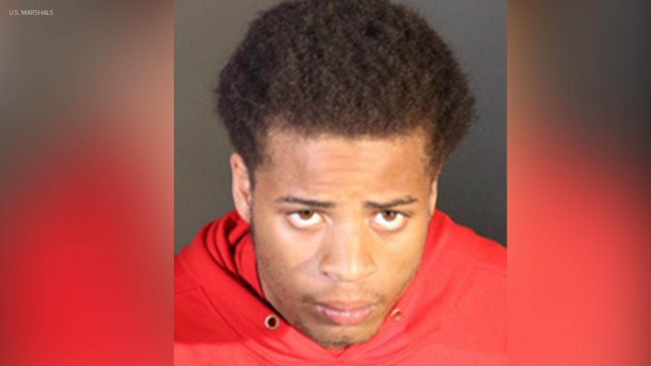 Kẻ trộm chó cưng của Lady Gaga bị kết án 21 năm tù