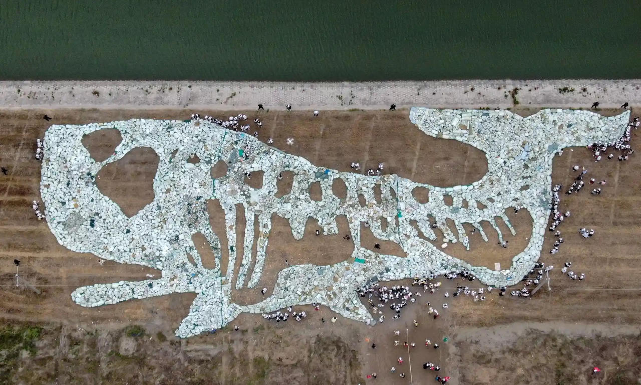 Ấn tượng loạt tác phẩm nghệ thuật từ rác thải nhựa