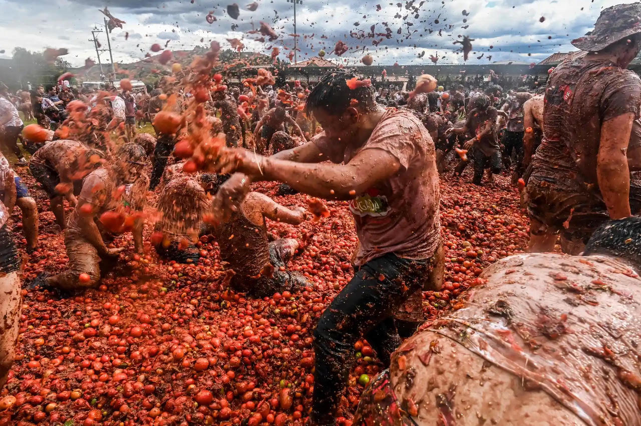 Hình ảnh Lễ hội Cà chua nổi tiếng nhất thế giới tại Columbia