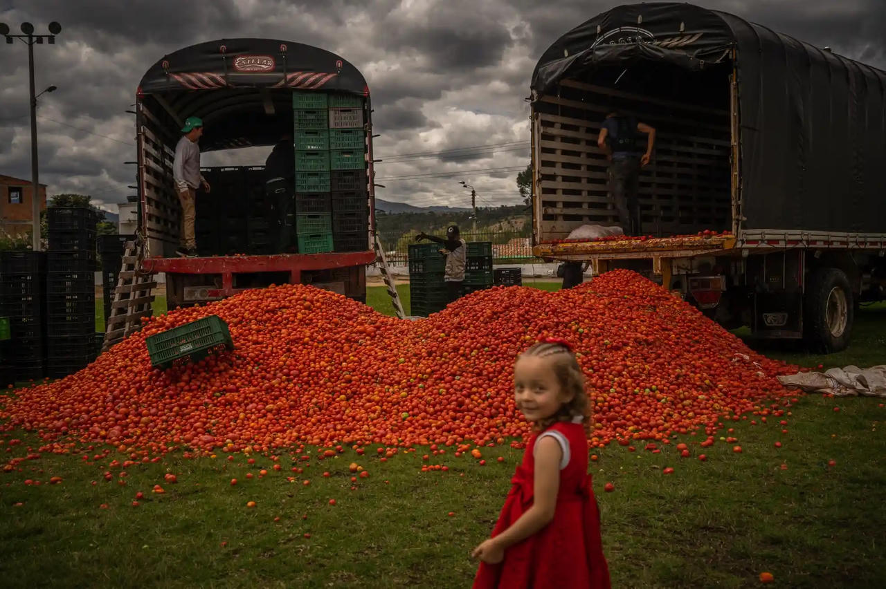 Hình ảnh Lễ hội Cà chua nổi tiếng nhất thế giới tại Columbia