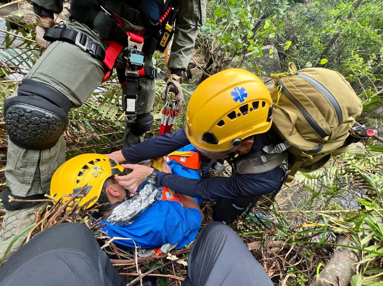 Nam sinh Hồng Kông ‘ăn lá cây, uống nước suối’ suốt 7 ngày lạc trong công viên