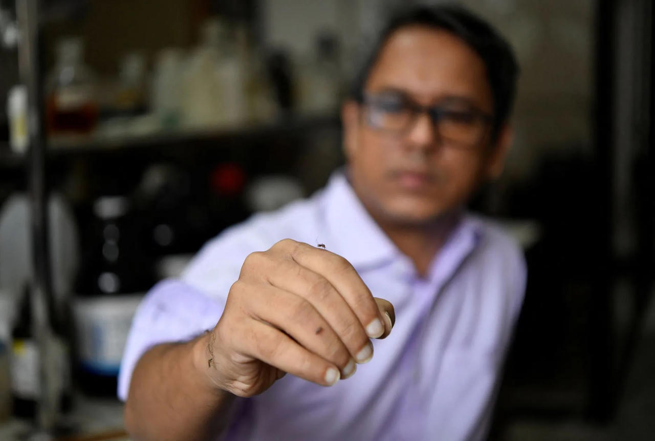 Bangladesh bùng phát dịch sốt xuất huyết chưa từng có