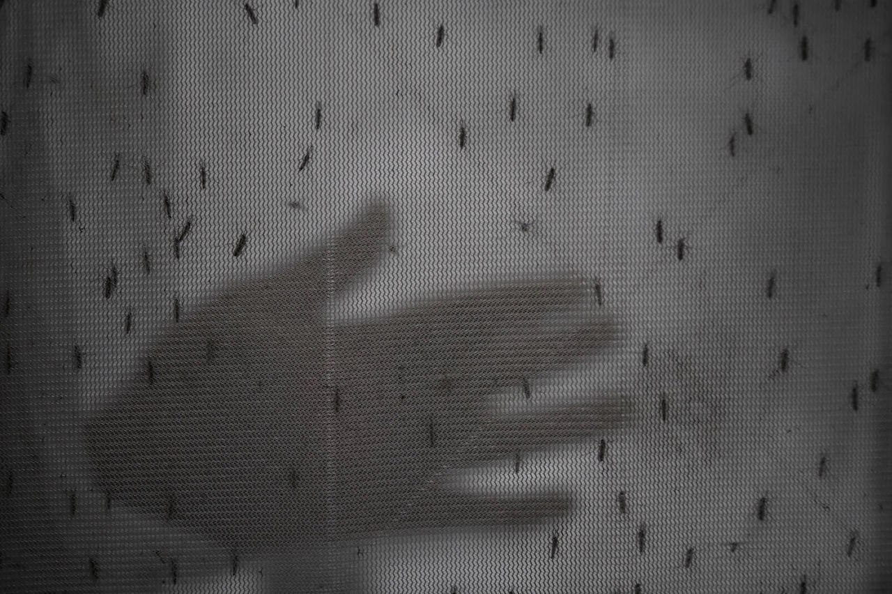 Bangladesh bùng phát dịch sốt xuất huyết chưa từng có