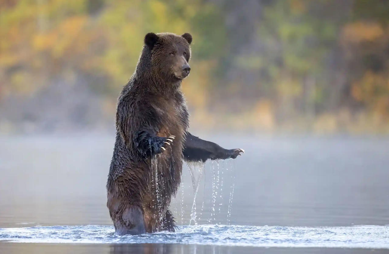 Chiêm ngưỡng những bức ảnh động vật hoang dã đẹp nhất năm 2023