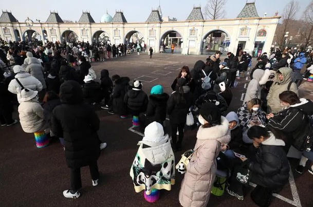 Hàng nghìn người Hàn tới chia tay gấu trúc Trung Quốc