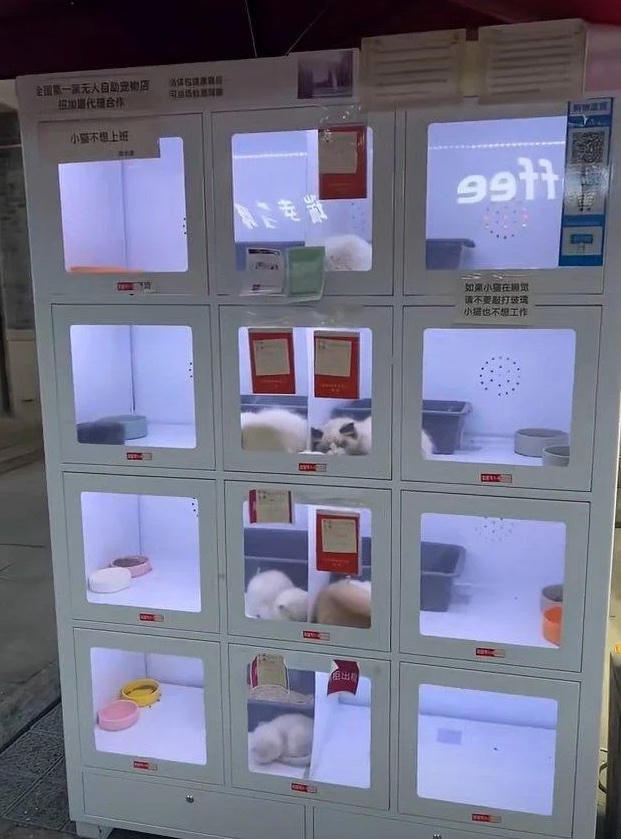 Máy bán thú cưng tự động gây tranh cãi ở Trung Quốc