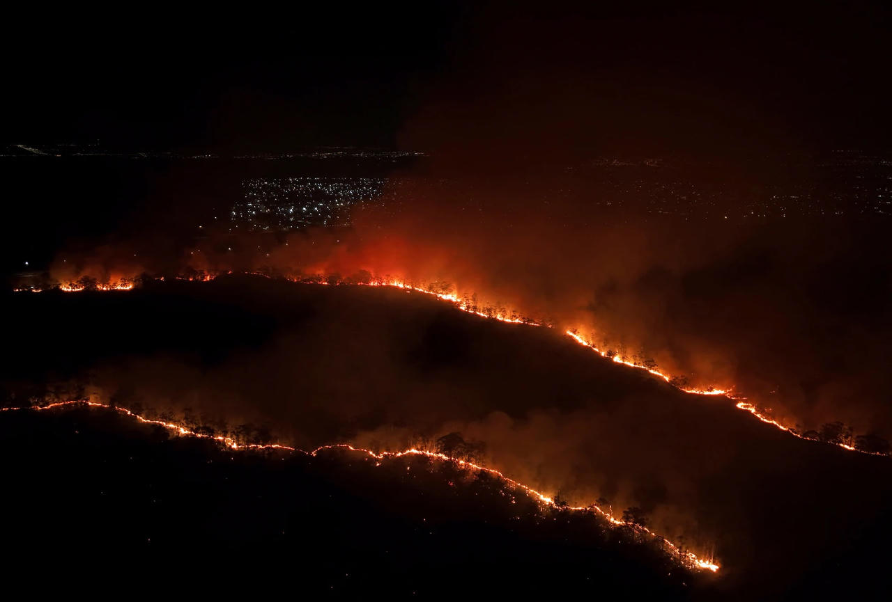 20% diện tích rừng Brasilia bị thiêu rụi, nghi do đốt rừng