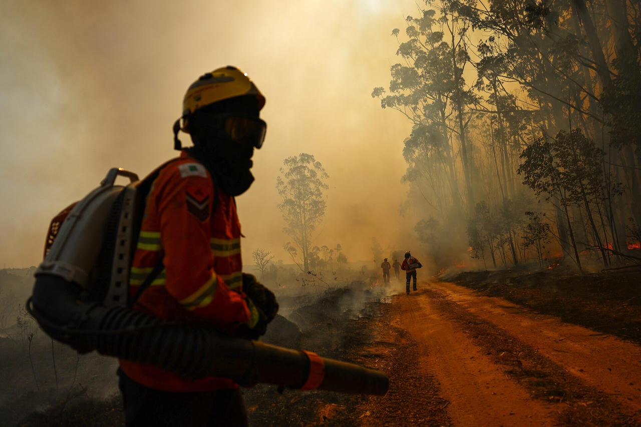 20% diện tích rừng Brasilia bị thiêu rụi, nghi do đốt rừng
