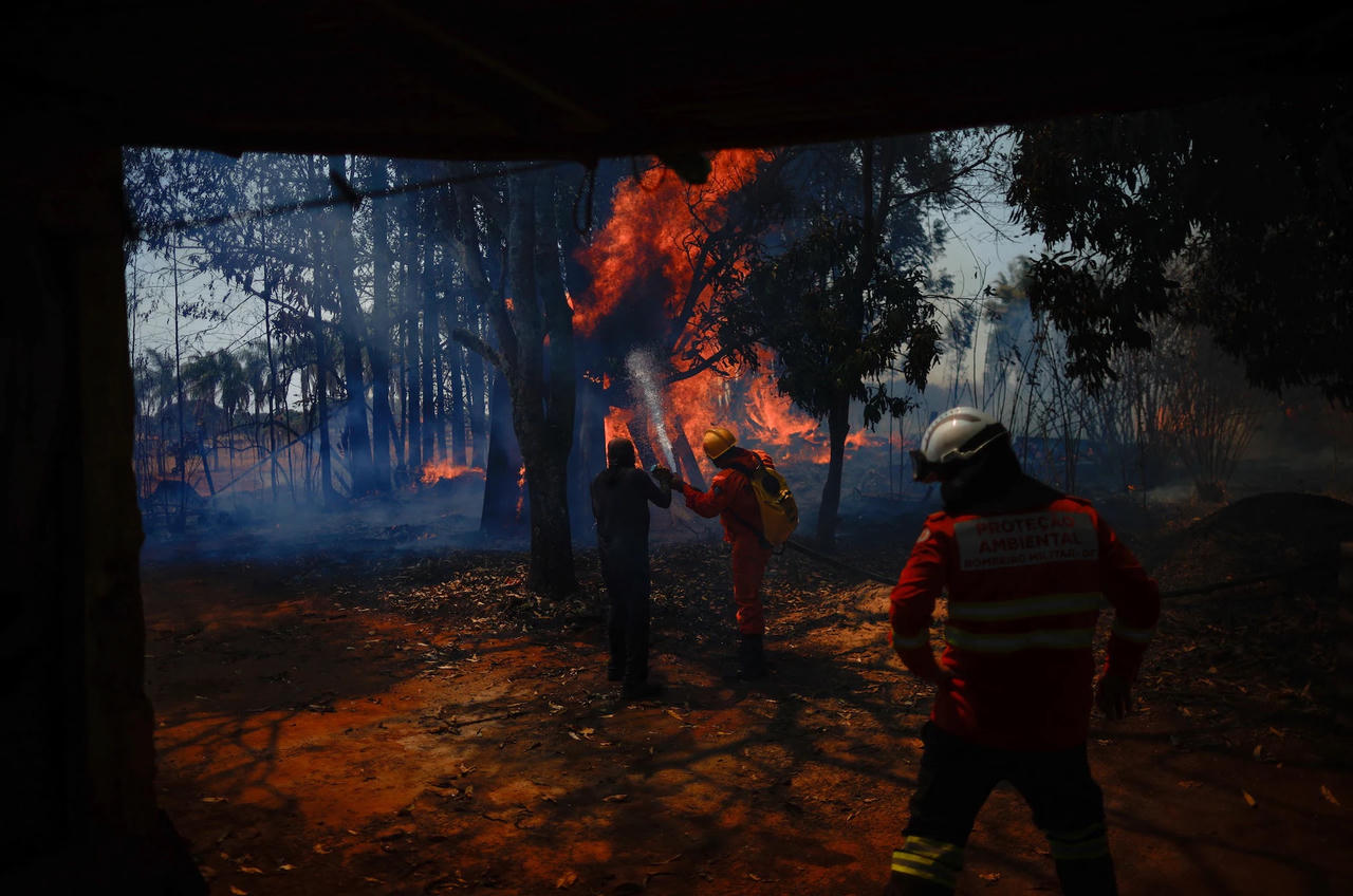 20% diện tích rừng Brasilia bị thiêu rụi, nghi do đốt rừng