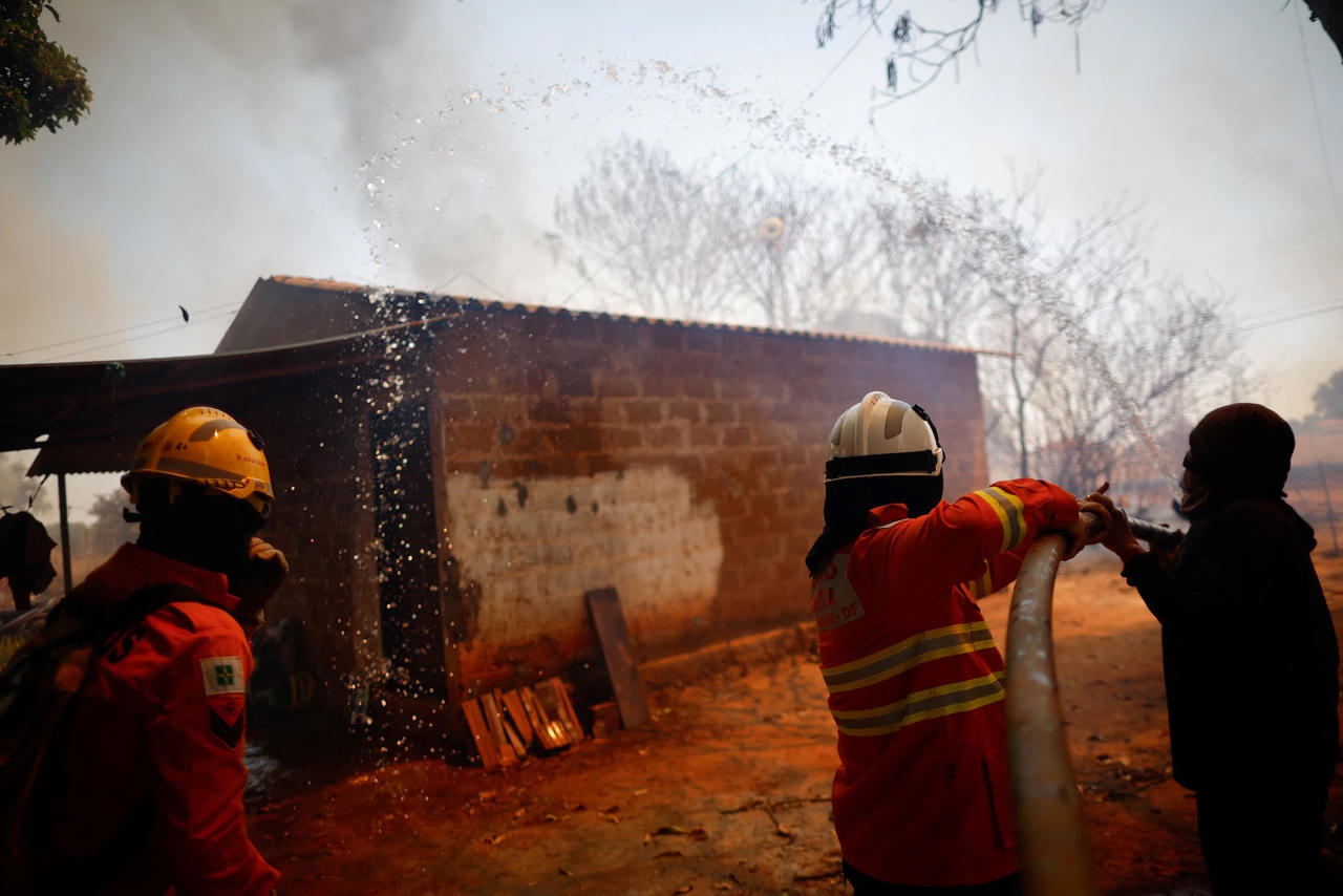 20% diện tích rừng Brasilia bị thiêu rụi, nghi do đốt rừng