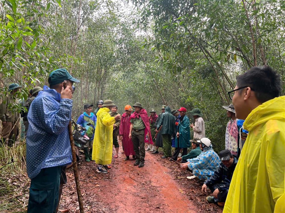 Tìm thấy cụ ông đi lạc trong rừng ở Quảng Nam