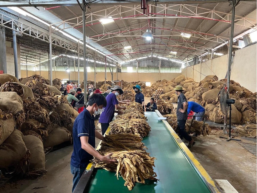 Có nên ‘tăng sốc’ thuế thuốc lá?