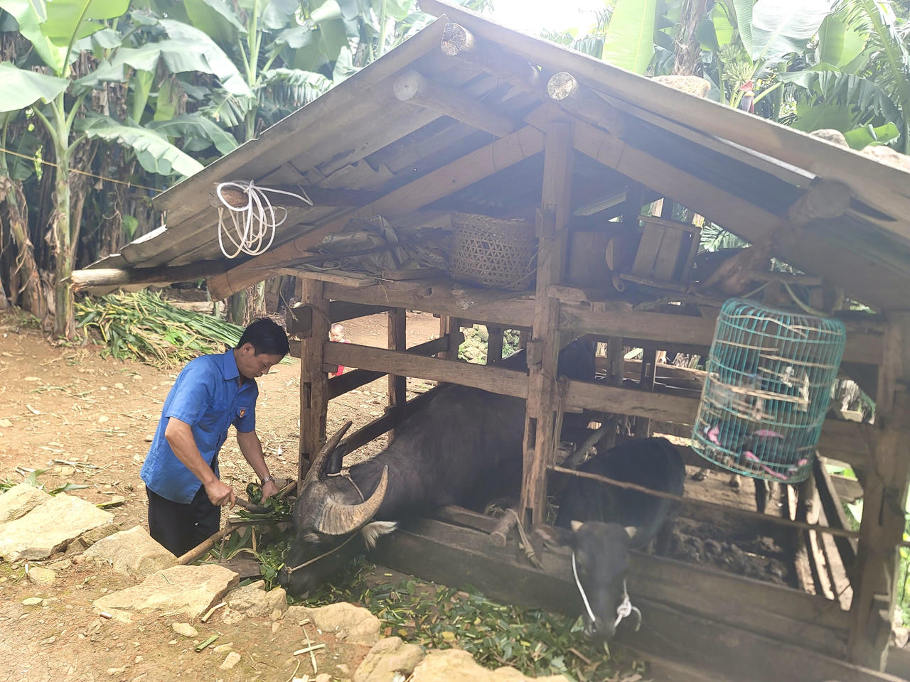 Chương trình Xóa nhà tạm, nhà dột nát giúp cuộc sống nhiều gia đình tại Hà Quảng khởi sắc 