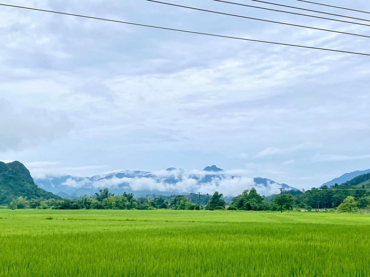 Nông nghiệp Tuyên Quang trên đà phát triển toàn diện, bền vững 