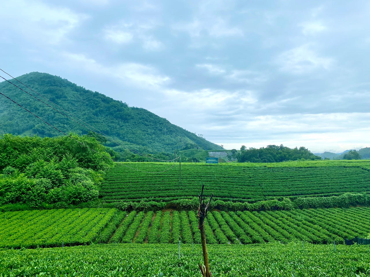 Khám phá vẻ đẹp tiềm ẩn và bản sắc văn hóa Yên Sơn (Tuyên Quang)