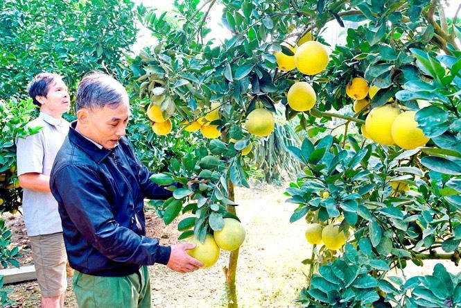 Khám phá vẻ đẹp tiềm ẩn và bản sắc văn hóa Yên Sơn (Tuyên Quang)