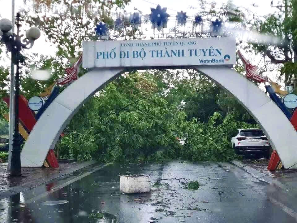 Mưa lớn kèm gió lốc tốc mái nhiều nhà dân ở Tuyên Quang 