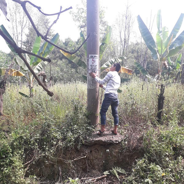 Hậu họa từ đường dây điện không đúng chiều cao an toàn