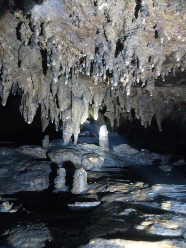 Chú dơi “chỉ đường” cứu 4 thanh niên ra khỏi hang động nhũ thạch tuyệt đẹp