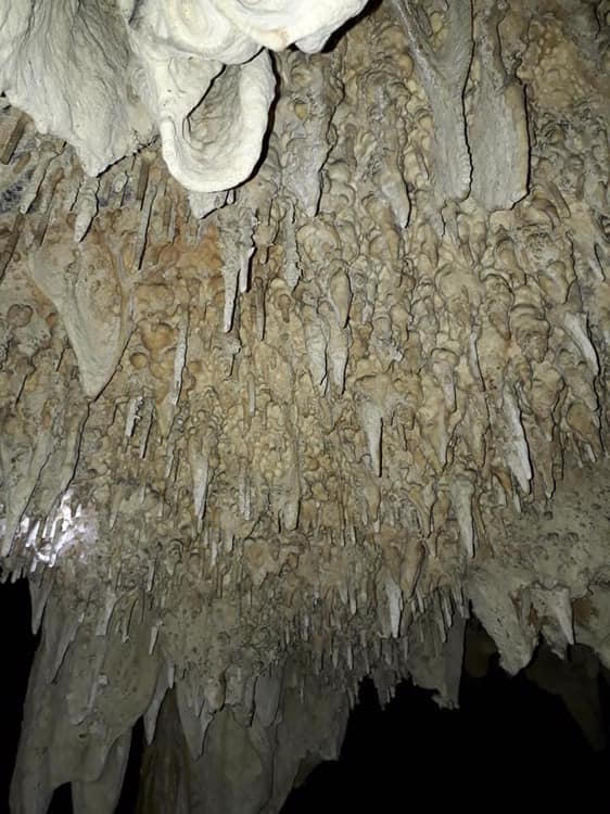 Chú dơi “chỉ đường” cứu 4 thanh niên ra khỏi hang động nhũ thạch tuyệt đẹp