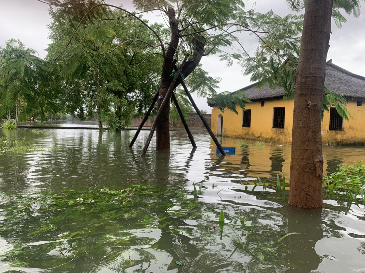 Thừa Thiên Huế: Gần 2 vạn ngôi nhà bị ngập, không có thiệt hại về người