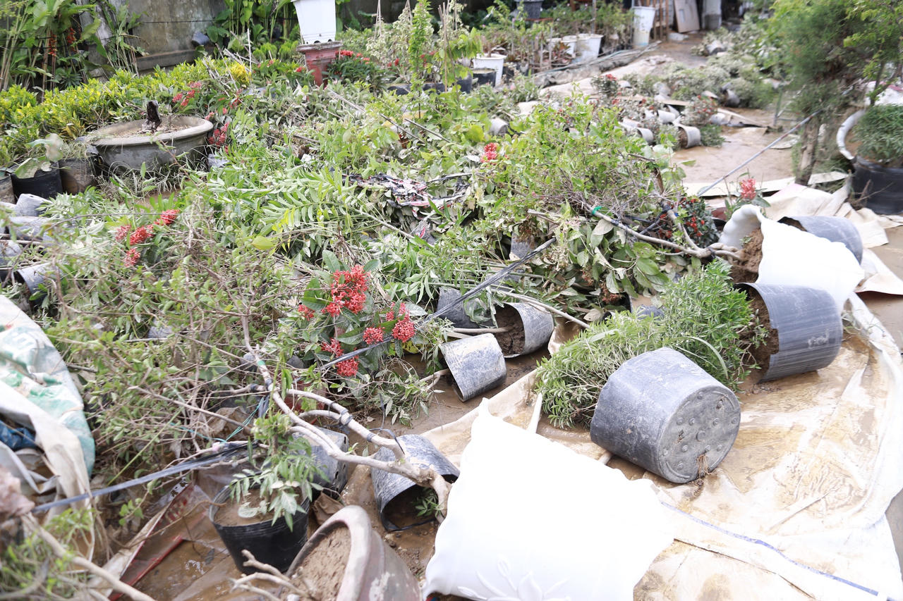 Lũ lớn khiến hơn 4.000 nhà ngập, 2 bé trai Quảng Nam đuối nước thương tâm