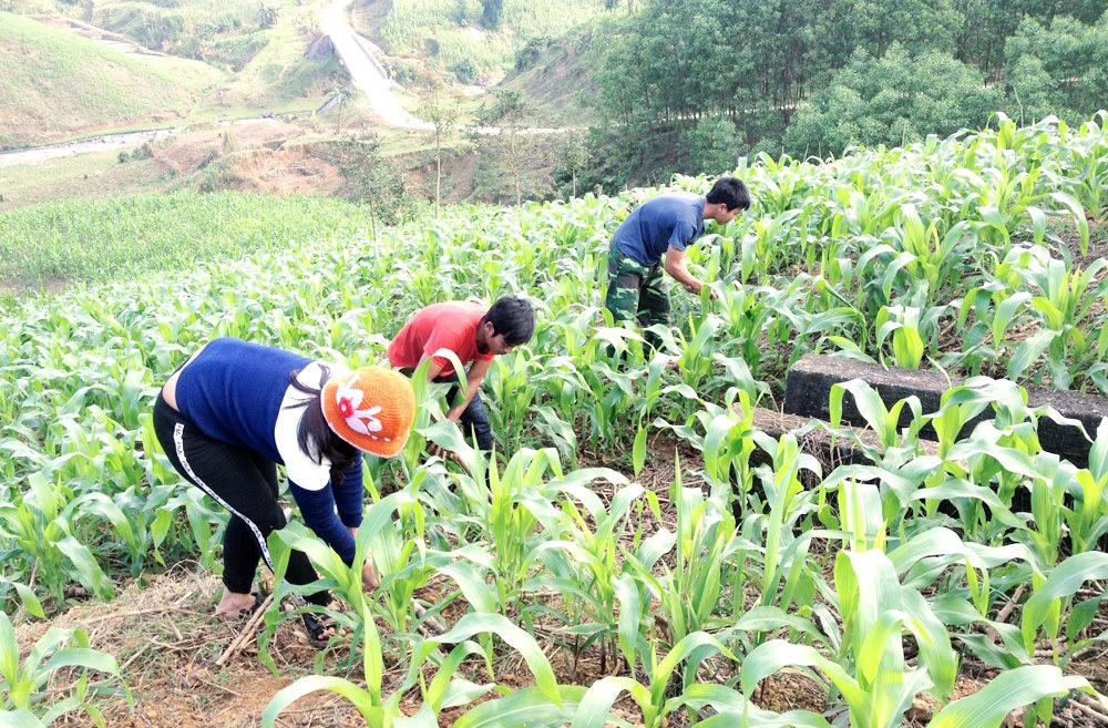 Hỗ trợ phương tiện nghe nhìn cho hộ nghèo trên địa bàn Thừa Thiên Huế
