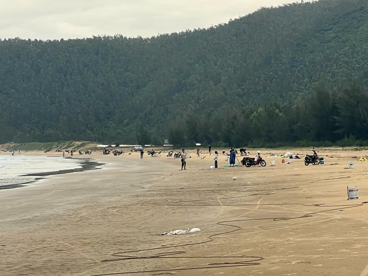 Ruốc, cá theo luồng, ngư dân Quảng Bình ‘bỏ túi’ tiền triệu mỗi sáng