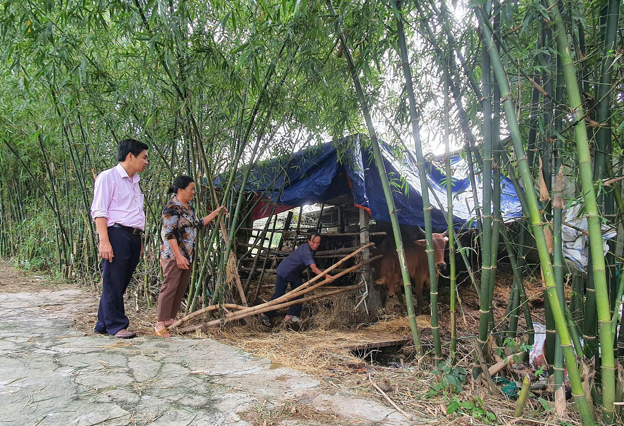 Tín dụng chính sách xã hội – Tấm chăn ấm cho người nghèo và các đối tượng chính sách