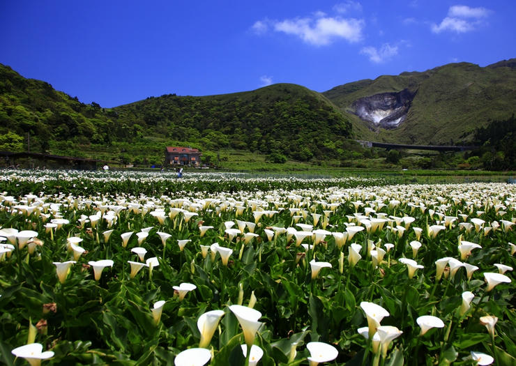 Vietjet khuyến mãi vé 0 đồng bay tới Đài Bắc