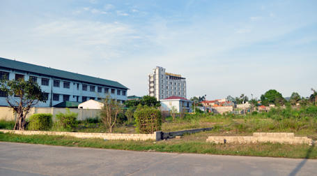 Giám đốc được tuyên dương “Doanh nhân tiêu biểu” gây tai tiếng?