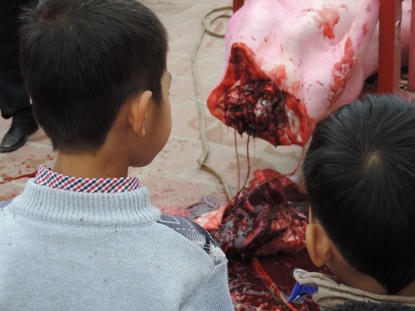 Đề nghị chấm dứt Lễ hội chém lợn tại Bắc Ninh 