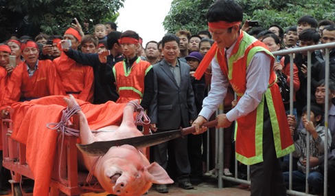 Đề nghị chấm dứt Lễ hội chém lợn tại Bắc Ninh 