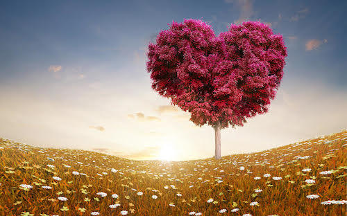 Đón Tết với Playlist “rộn ràng nhịp xuân” trên Nhacso.net