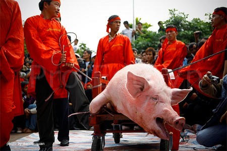 Vẫn tiến hành lễ hội chém lợn ở Bắc Ninh