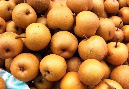 Hoa lê bạc triệu trắng muốt trong mưa xuân Hà Nội