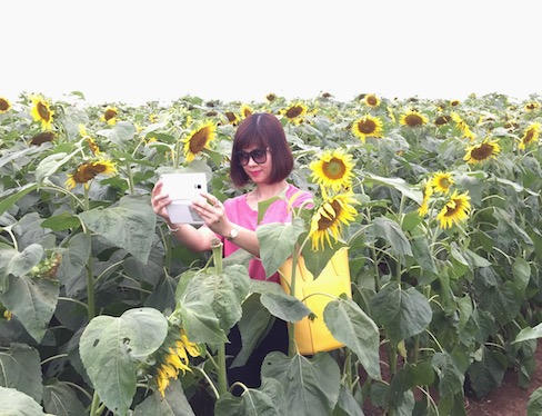Hình “mặt cười” ngộ nghĩnh trên cánh đồng hướng dương