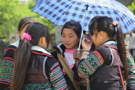 Sapa: Hoa vươn sườn núi