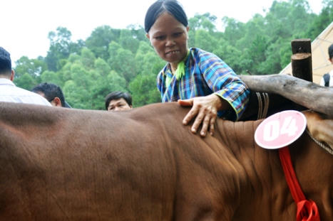 Gieo niềm hy vọng nơi “cực Tây” Tổ quốc