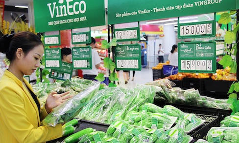 Vinmart chính thức phân phối rau sạch Vineco