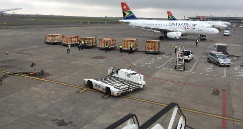 Thú quý lại vượt đại dương về Vinpearl Safari Phú Quốc