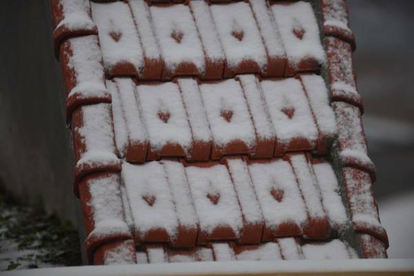 Đêm qua tuyết rơi, sáng nay Sapa đẹp mơ màng