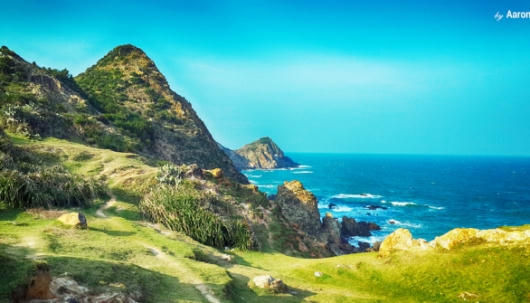 Chuyên gia, nhà đầu tư hiến kế để Bình Định "cất cánh"