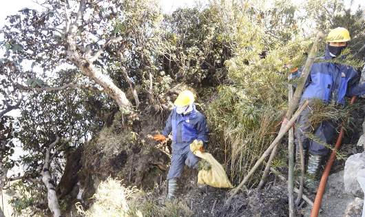 “Tazan” đu dây nhặt rác quanh đỉnh Fansipan