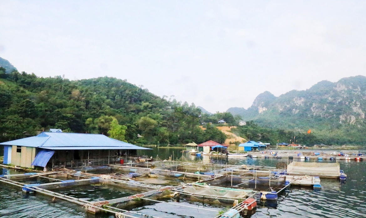 Hòa Bình tập trung phát triển công nghệ chế biến nông sản và thực phẩm