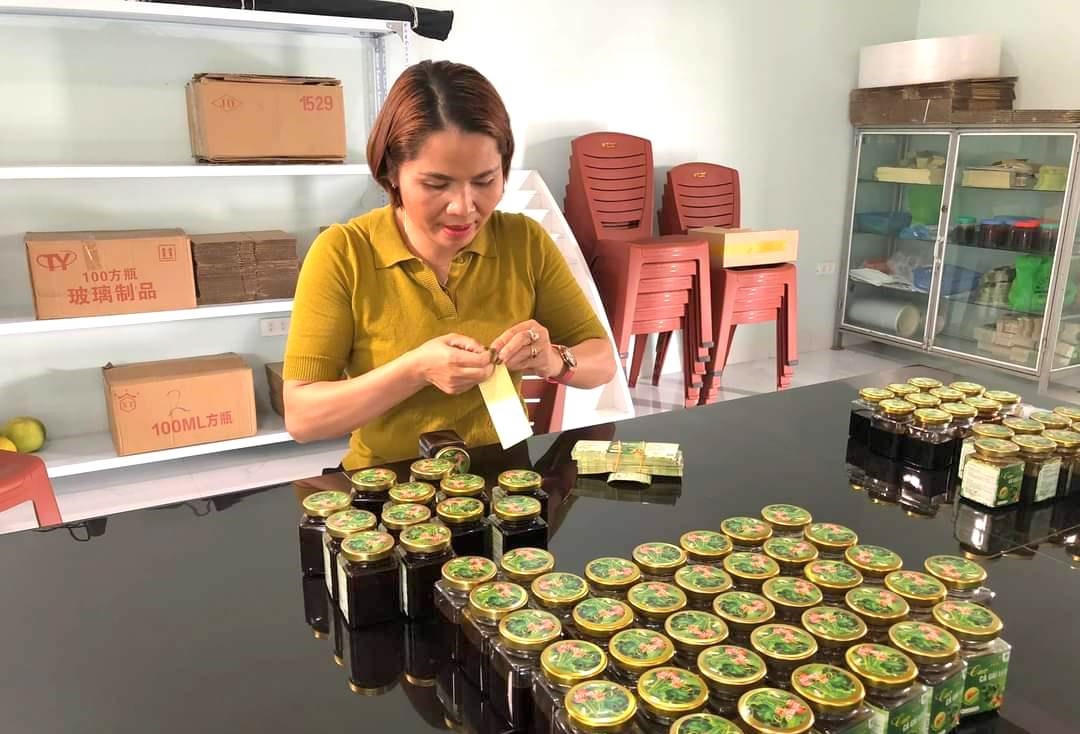 Tỉnh Hòa Bình tập trung phát triển cây dược liệu có giá trị y tế và kinh tế cao trên địa bàn 