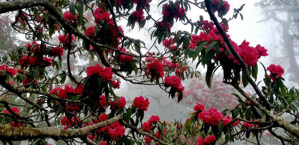 Lai Châu - cô gái đẹp ngủ quên đang được đánh thức