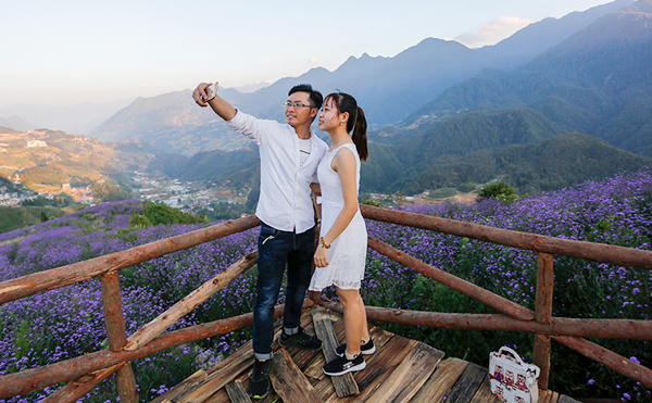 Đồi hoa tím tuyệt đẹp tại Sa Pa