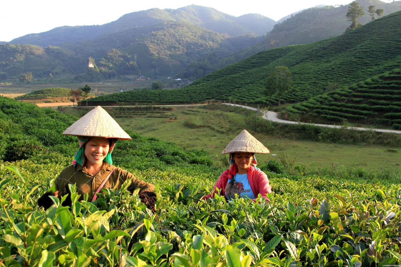 Vẻ đẹp của con người Lai Châu trong lao động sản xuất