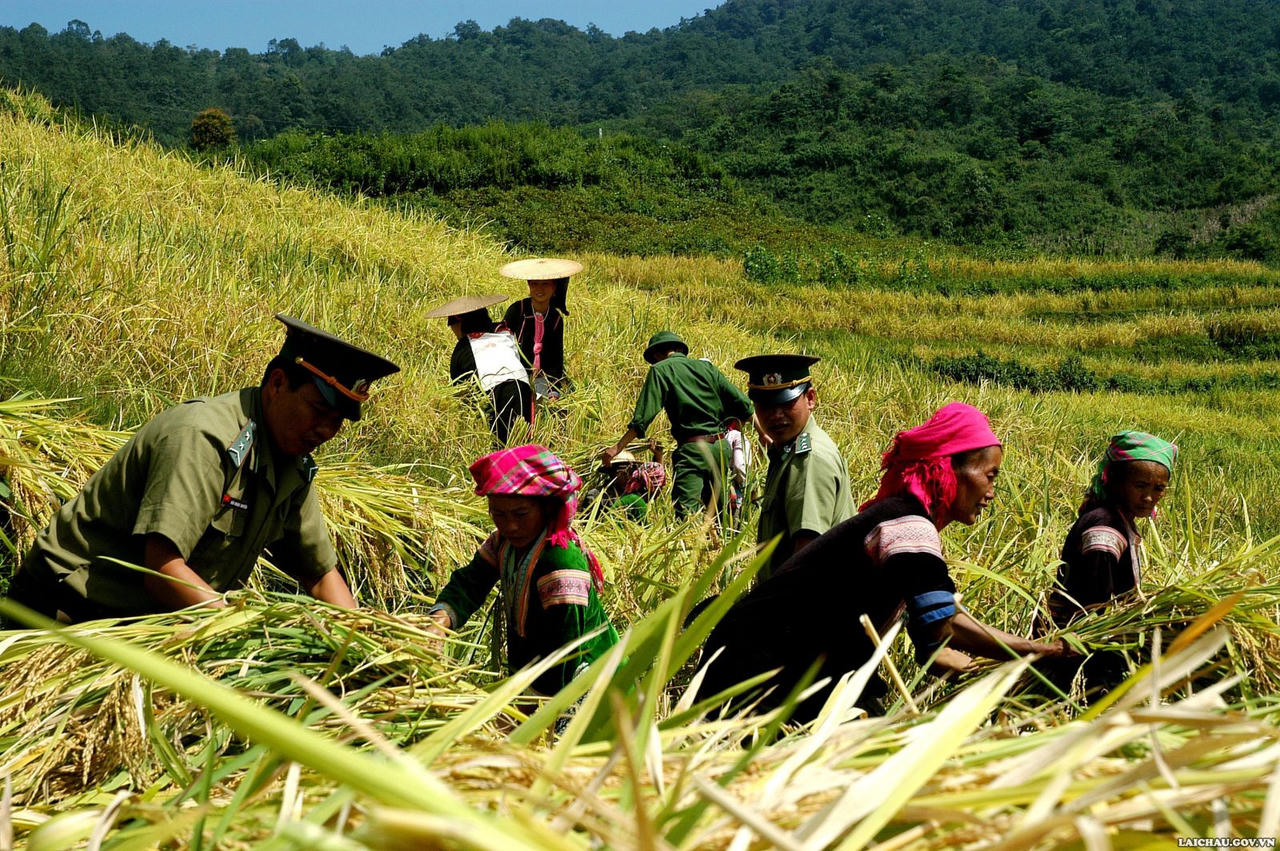 Vẻ đẹp của con người Lai Châu trong lao động sản xuất
